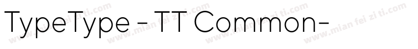 TypeType - TT Common字体转换